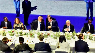 6 ملفات تتصدر مباحثات السيسي مع شركات النمسا ورجال الأعمال المصريين