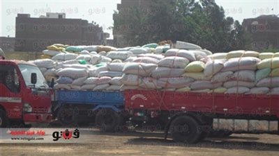 توريد 327 ألفا و301 طن قمح بالبحيرة