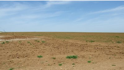 حيتان «أراضي العاصمة»..الرقابة الإدارية تكشف: مسئول «أملاك القاهرة» يتجاهل تأشيرة المحافظ.. ويمنح رجل أعمال 8 أفدنة في هضبة «المقطم الوسطى».. و«المشروعات الخيرية