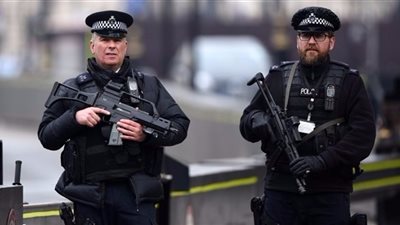 بريطانيا: اعتقال رجل حاول تسلق سور قصر بكنغهام