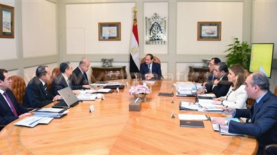«السيسي» يؤكد للحكومة أهمية توفير فرص العمل وتشغيل الشباب