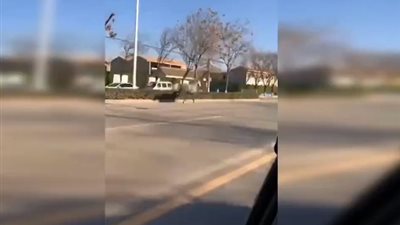 حصان هارب يصطدم بسيارة BMW (فيديو)