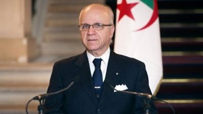 وصول وزراء الجزائر وفلسطين والسعودية والإمارات إلى القاهرة