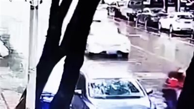 لقطات مرعبة لنجاة امرأتين من الموت لحظة سقوط شجرة (فيديو)