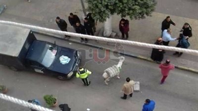 تفاصيل التعدي على فرع فودافون بالإسماعيلية