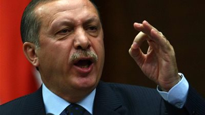 أردوغان يقترح عقد لقاء مع بوتن على هامش مؤتمر المناخ في باريس