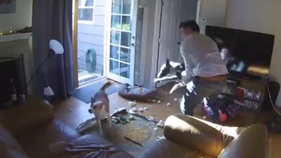 حيوانات تحول منزل رجل إلى فوضى عارمة (فيديو)