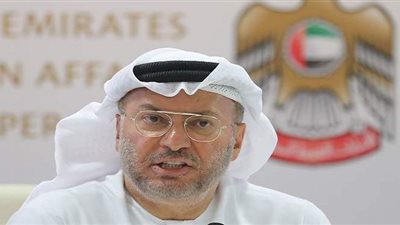 قرقاش عن افتتاح قاعدة 3 يوليو البحرية: نجاح مصر يمثل كل العرب