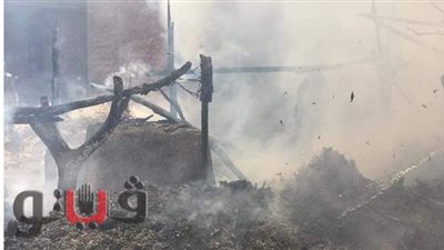 نفوق 4 رؤوس ماشية في حريق حظيرة بالدلجمون في الغربية | صور