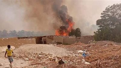 بسبب ارتفاع درجات الحرارة.. حرائق بمزارع نخيل في الوادي الجديد