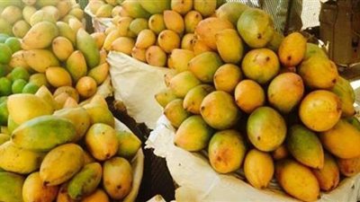 الزراعة: أسعار المانجو بسوق العبور تتراوح ما بين 10 لـ14 جنيها