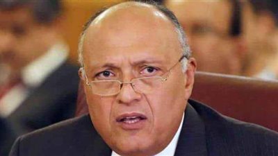 وزير الخارجية: لدينا القدرة على الدفاع عن مصالحنا وحقوقنا المائية | فيديو