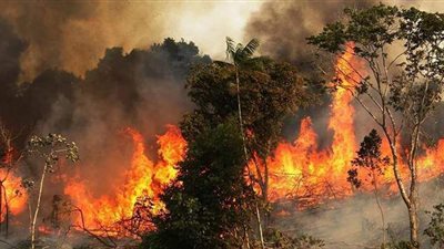 الاتحاد الأوروبي يرسل مساعدة لقبرص مع احتدام حريق غابات ضخم