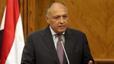 لقاءات مكثفة لوزير الخارجية مع مندوبي الدول الأعضاء بمجلس الأمن حول سد النهضة