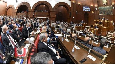 مجلس الشيوخ يبدأ مناقشة مشروع قانون المالية الموحد