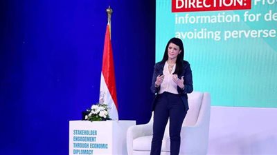 خبير بالأمم المتحدة: مبادئ الدبلوماسية الاقتصادية لمصر تعزز اتساق التمويل الإنمائي