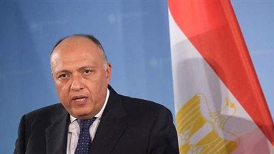 نشاط مكثف لسامح شكري قبل جلسة مجلس الأمن.. مجلد كامل بالمستندات لرصد أزمة سد النهضة.. ولقاءات استباقية في نيويورك