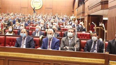 جدل بالشيوخ حول الجهات المطبق عليها قانون المالية الموحد