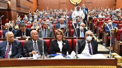 الشيوخ يحدد جهات تطبيق قانون المالية الموحد