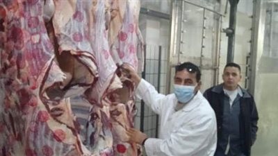 محافظ الإسكندرية: فتح المجازر الحكومية أمام أضاحي المواطنين بالمجان في العيد