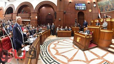 مجلس الشيوخ: إصدار الموازنة العامة للدولة يجب أن يتم بقانون