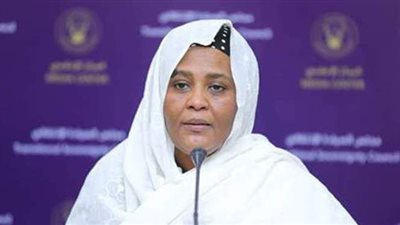 لمناقشة ملف سد النهضة.. وزيرة خارجية السودان تشارك في اجتماع مجلس الأمن