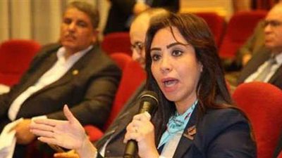 غادة علي: قانون نقل ملكية الأراضي يساهم في توسيع الأنشطة الشبابية