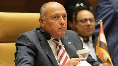 شكري يلتقي سفراء اللجنة العربية ومندوبي الدول الأفريقية بمجلس الأمن لبحث أزمة سد النهضة