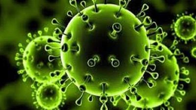 طبيب مناعة يكشف فترة بقاء الأجسام المضادة لفيروس كورونا في جسم المتعافين