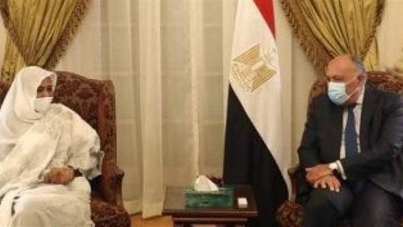 وزير الخارجية المصري