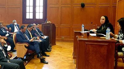 وزيرة الصناعة من مجلس الشيوخ: تنسيق كامل لتنفيذ قانون تفضيل المنتج المحلي