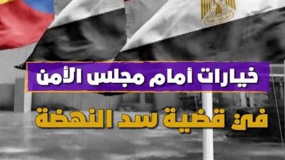 خيارات أمام مجلس الأمن في قضية سد النهضة | فيديوجراف