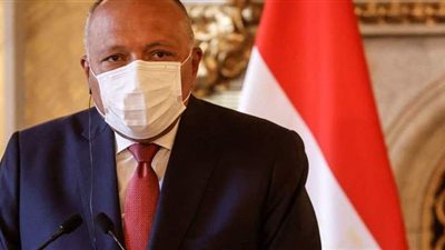 سامح شكري يشرح لـ 3 دول أفريقية أبعاد قضية سد النهضة