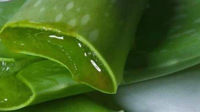 فوائد لا تعلمينها عن جل الصبار.. اكتشفيها