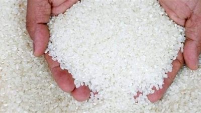 صناعة الحبوب تبدأ توريد الدفعة السابعة من الأرز المحلى للتموين