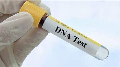 الصعايدة يطالبون بإنشاء معامل تحليل الـDNA.. وإنهاء أزمة اللجوء إلى القاهرة وقت الكوارث أبرز الأهداف