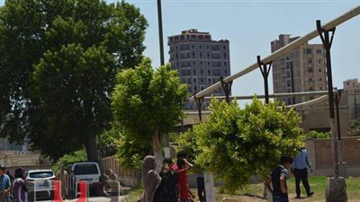 المحلة يقرر توفير سيارة إسعاف لاختبارات قطاع الناشئين بالنادي | صور