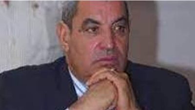 نائب يطالب بالسيطرة على سوق المبيدات الحشرية للقضاء على 