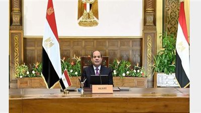 السيسي ورئيس الكونغو الديمقراطية يبحثان مستجدات سد النهضة