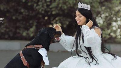 قلبه حنين وبيحب السيطرة.. مواصفات كلب 