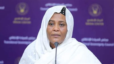 مريم الصادق تلتقي مندوبي إفريقيا وأمريكا في مجلس الأمن لملف سد النهضة