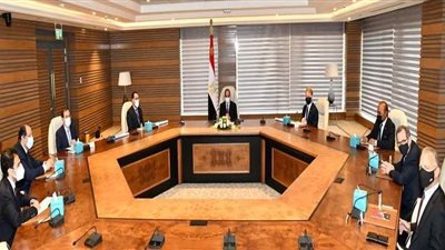 السيسي يطلع على مشروع إقامة مجمع للبتروكيماويات في 