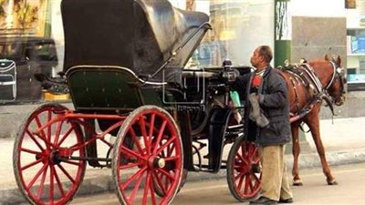 السياحة تخصص 500 ألف جنيه لدعم النقل البطيء بالأقصر والجيزة