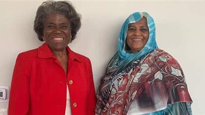 تدخل اللحظة الأخيرة.. تعليق أمريكي هام عن أزمة سد النهضة قبل جلسة مجلس الأمن