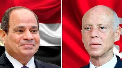 السيسي يتلقى اتصالا من الرئيس التونسي للتباحث والتنسيق بشأن قضية سد النهضة