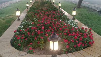 محافظ القاهرة يفتتح تطوير الجزيرة الوسطى بالعروبة