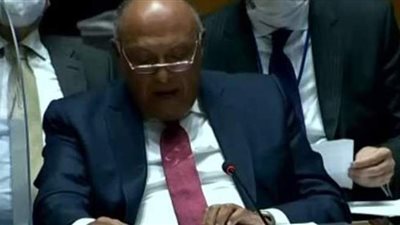 وزير الخارجية: أمتنا تواجه تهديدا وجوديا بسبب سد النهضة