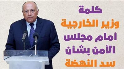 كلمة وزير الخارجية أمام مجلس الأمن بشأن سد النهضة| إنفو جراف
