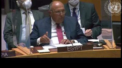 نص كلمة وزير الخارجية أمام مجلس الأمن بشأن سد النهضة.. 100 مليون مصري يواجهون تهديدا وجوديا.. وإثيوبيا تسعى إلى التحكم في نهر النيل