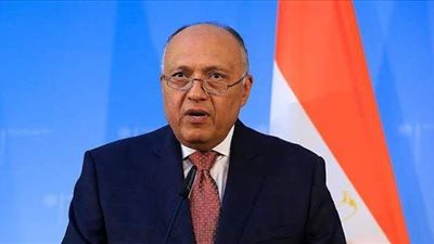 بعد استفزاز إثيوبيا.. ماذا قال وزير الخارجية عن تحرك مصر عسكريا لحماية حقوقها المائية؟